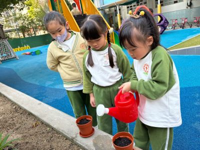 1月份活動相片 January Activities Photos