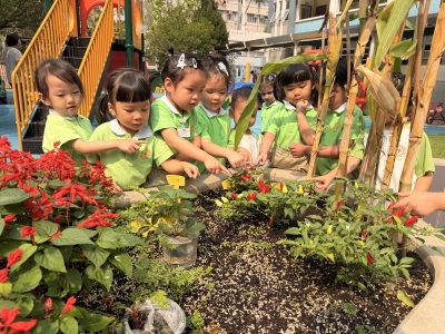 4月份活動相片 April Activities Photos
