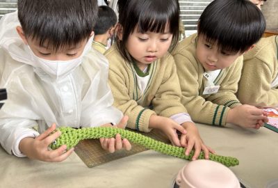 嘉道理農場3-scaled