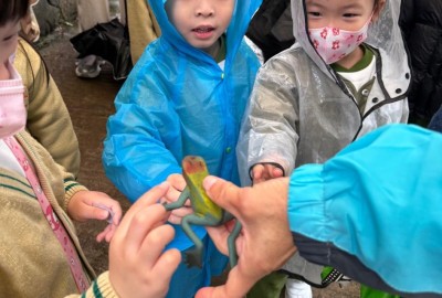 嘉道理農場8